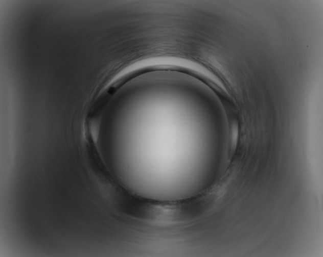 X0000089950164200706291218