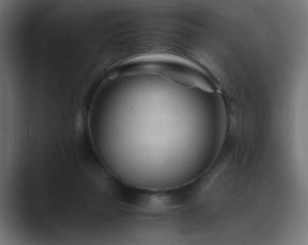 X0000089950165200706291218