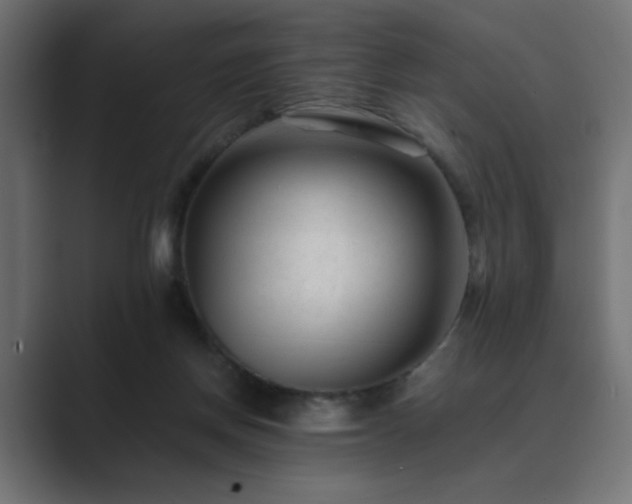 X0000089950166200706291218