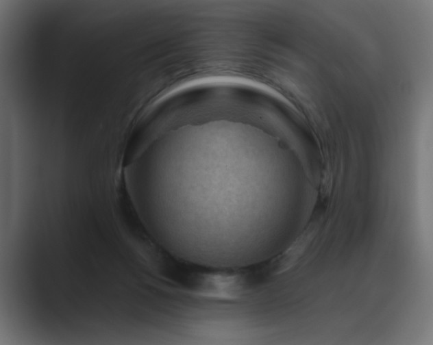X0000089950168200706291218