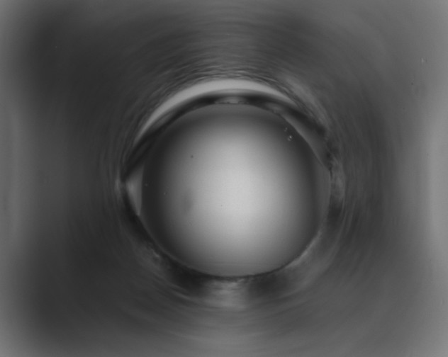 X0000089950170200706291218