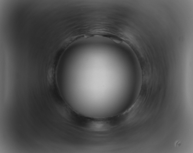 X0000089950171200706291218