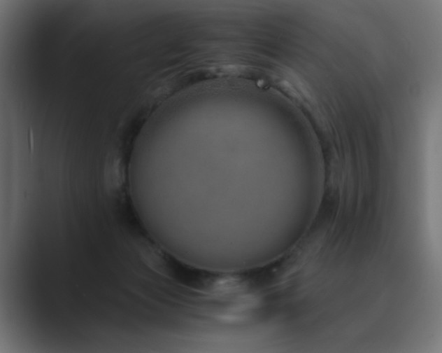 X0000089950173200706291218