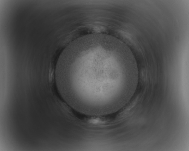 X0000089950177200706291218