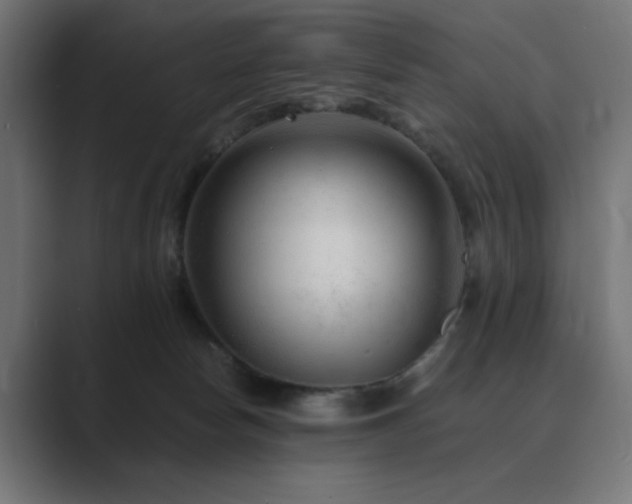 X0000089950178200706291218