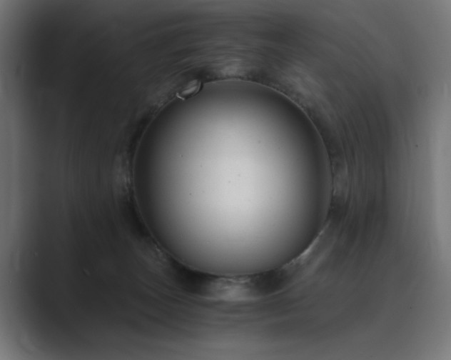 X0000089950179200706291218