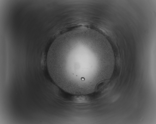 X0000089950181200706291218