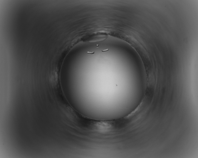 X0000089950183200706291218