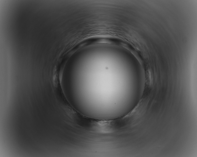 X0000089950184200706291218