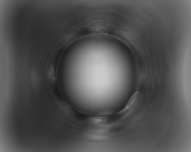 X0000089950187200706291218