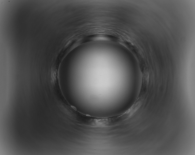 X0000089950188200706291218