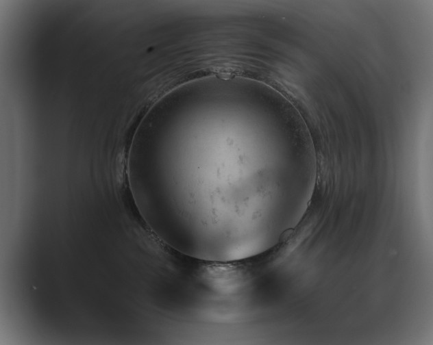 X0000089950189200706291218