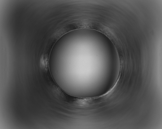 X0000089950190200706291218
