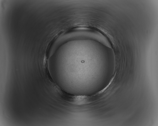 X0000089950192200706291218