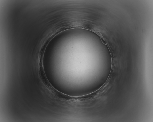 X0000089950194200706291217