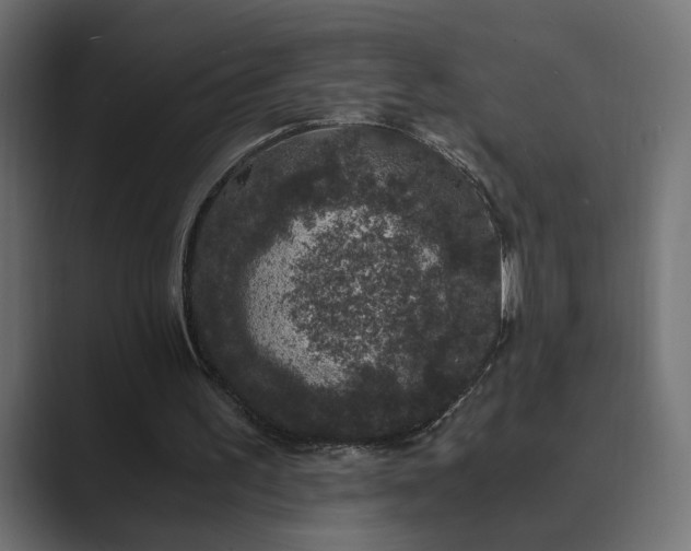 X0000089950195200706291217