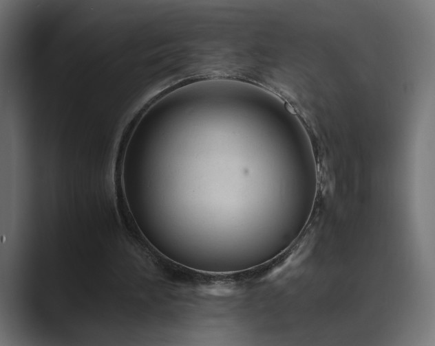 X0000089950196200706291217