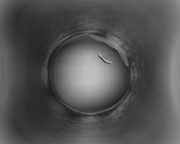X0000089950198200706291217