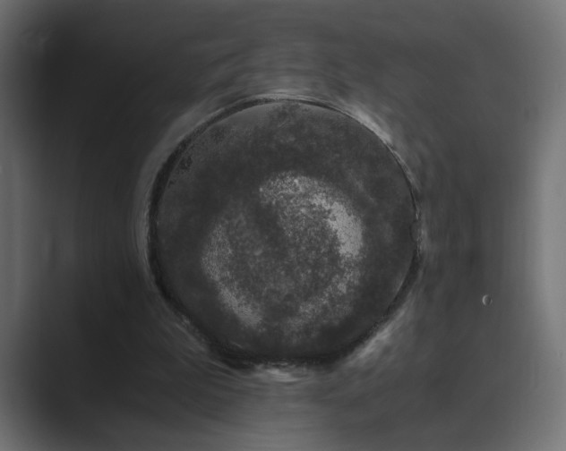X0000089950199200706291217