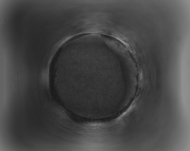 X0000089950200200706291217