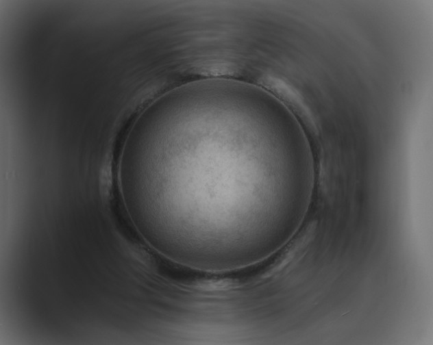 X0000089950202200706291217