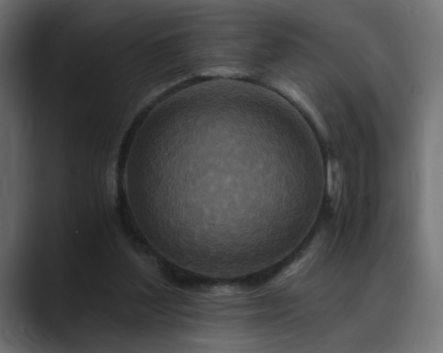 X0000089950204200706291217