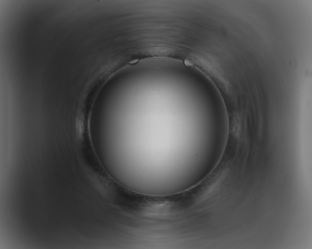 X0000089950206200706291217