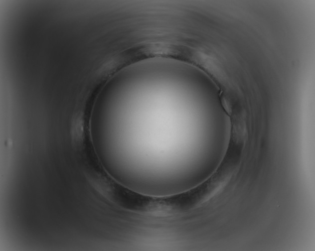 X0000089950207200706291217