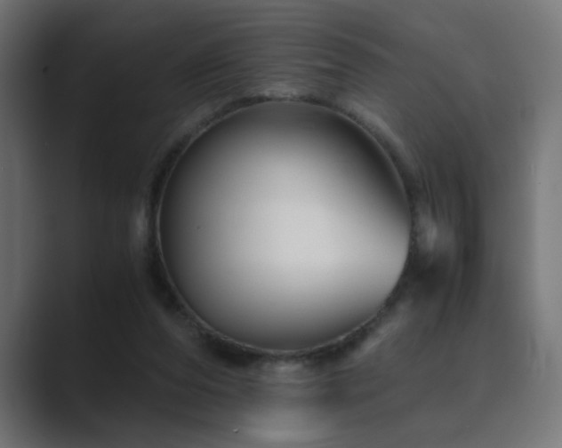 X0000089950208200706291217
