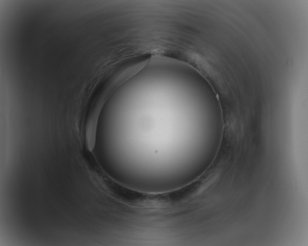 X0000089950209200706291217