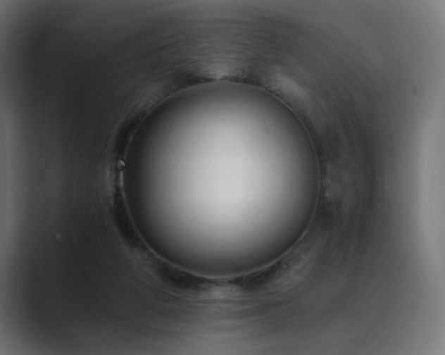 X0000089950210200706291217