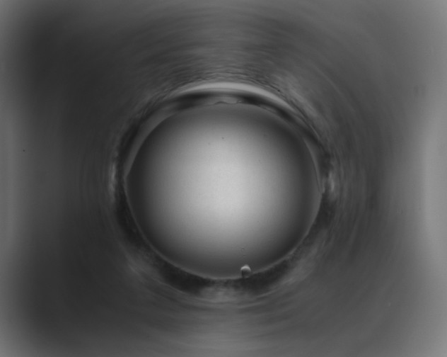 X0000089950211200706291217