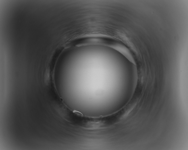 X0000089950213200706291217