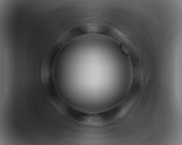 X0000089950215200706291217