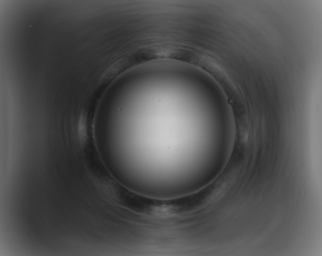 X0000089950216200706291217