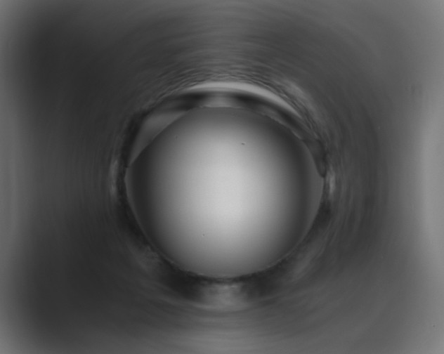 X0000089950217200706291217