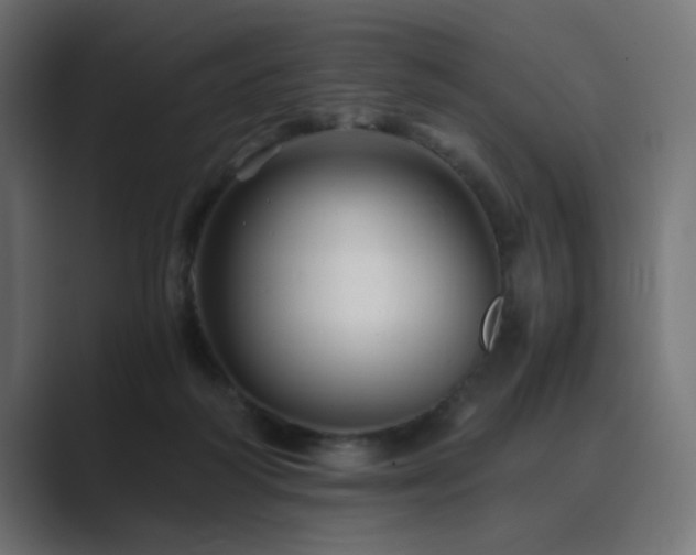 X0000089950218200706291217