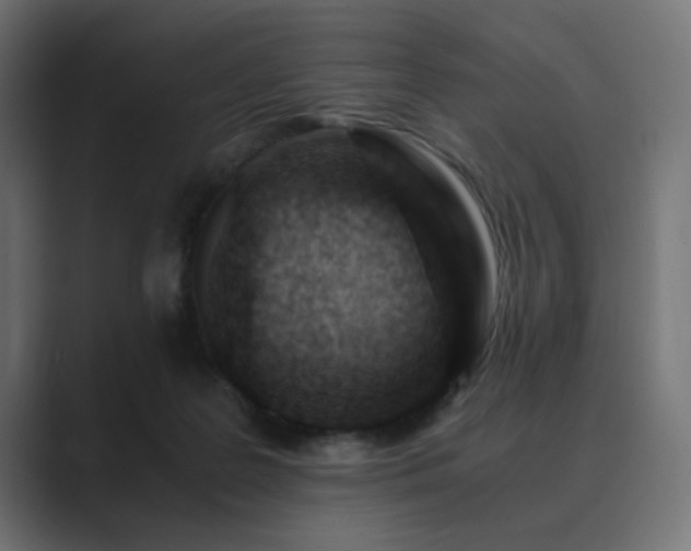 X0000089950219200706291217
