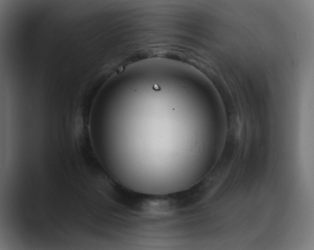 X0000089950220200706291217