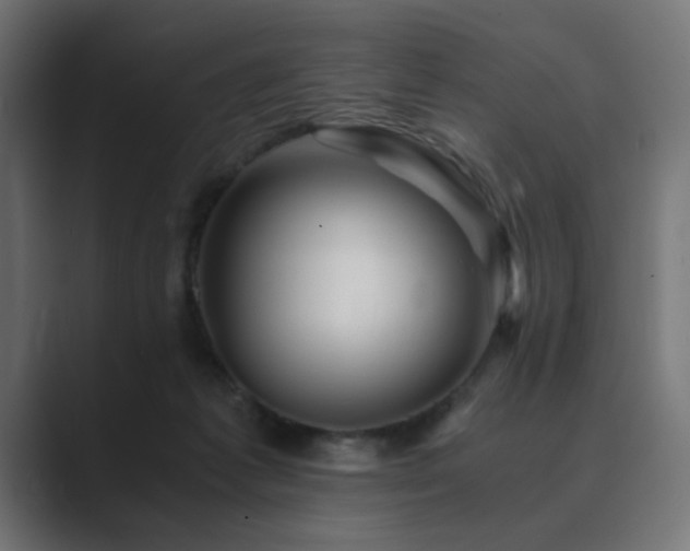 X0000089950221200706291217