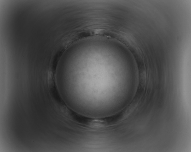 X0000089950222200706291217