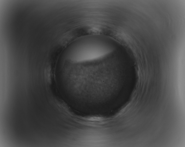 X0000089950223200706291217