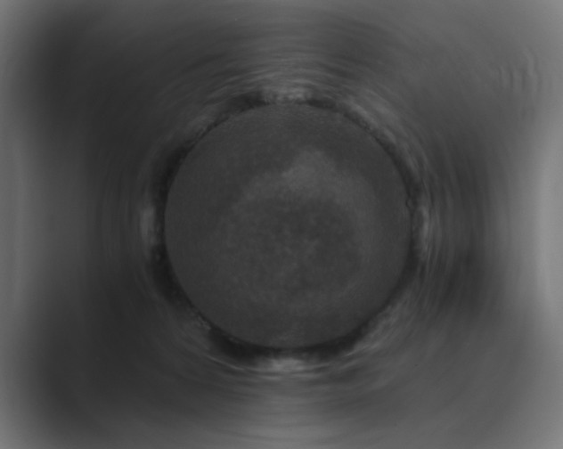 X0000089950224200706291217