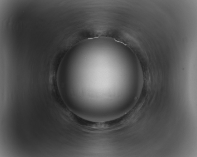 X0000089950225200706291217