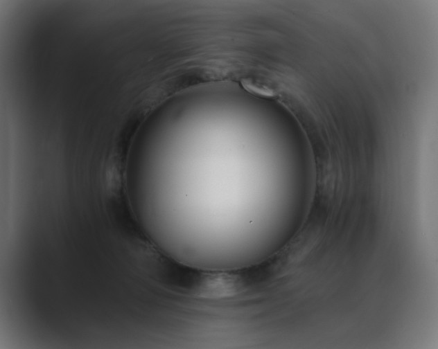 X0000089950226200706291217