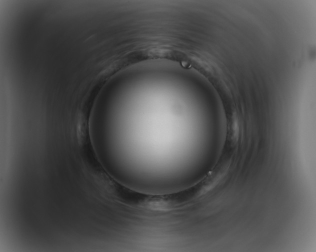 X0000089950228200706291217