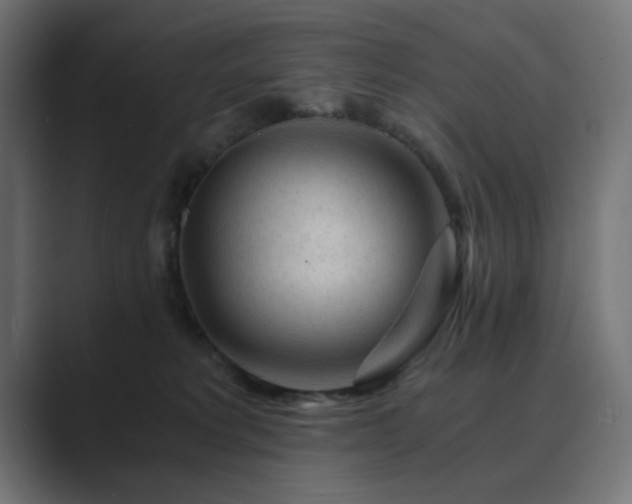X0000089950229200706291217