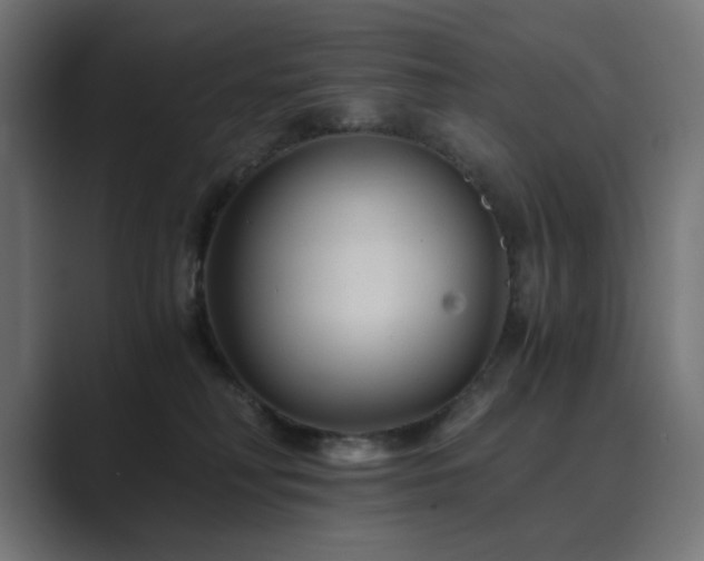 X0000089950230200706291217