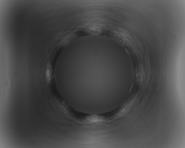 X0000089950231200706291217