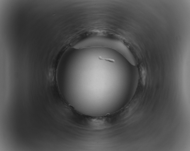 X0000089950232200706291217